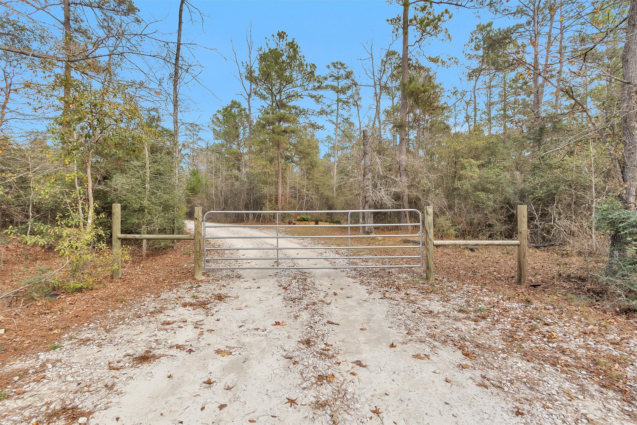 215 Fm 2929 Road Huntsville, TX 77340 - Photo 3 of 50 Entrance/Driveway