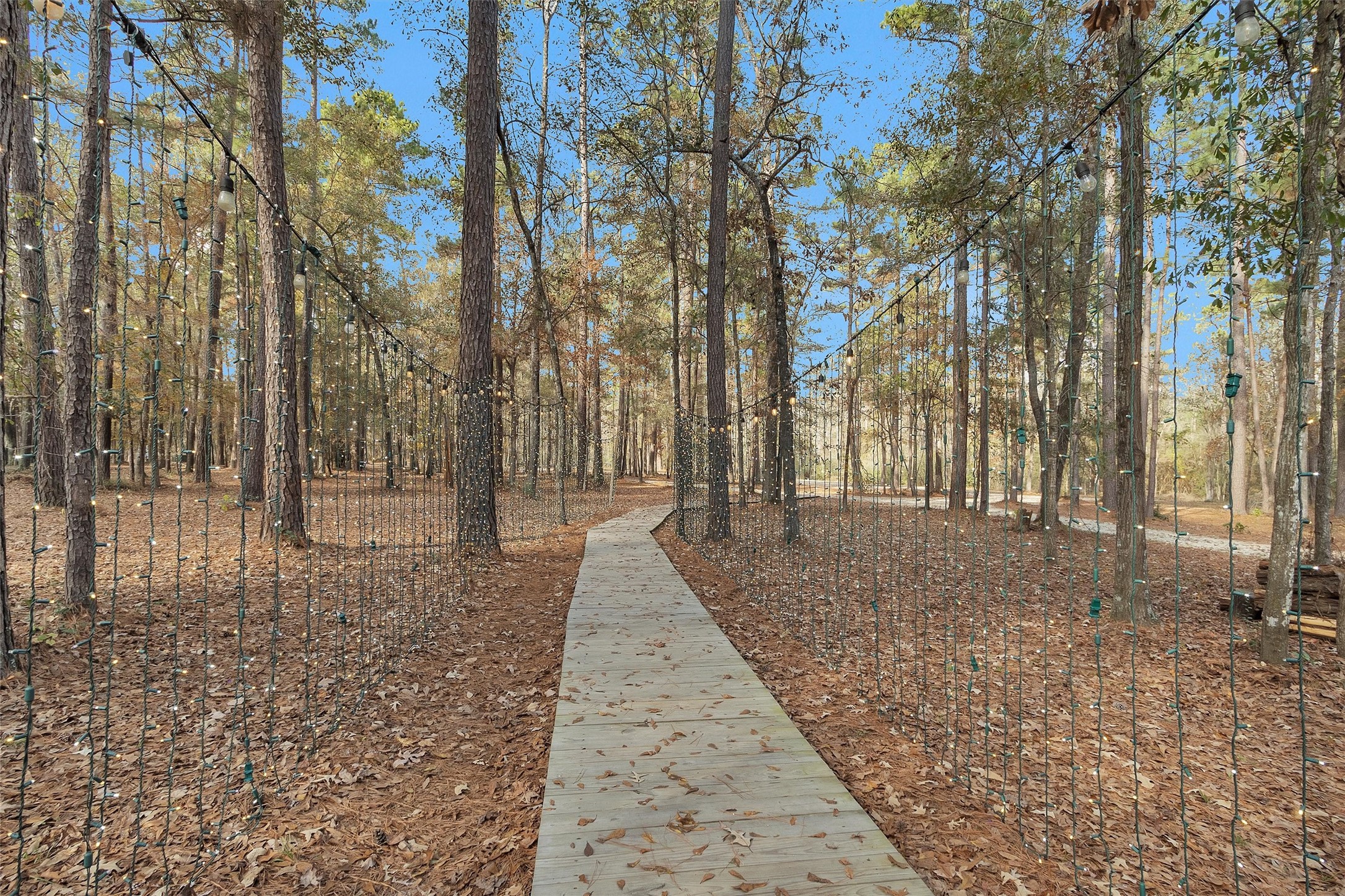 215 Fm 2929 Road Huntsville, TX 77340 - Photo 36 of 50 Wood path to parking lot