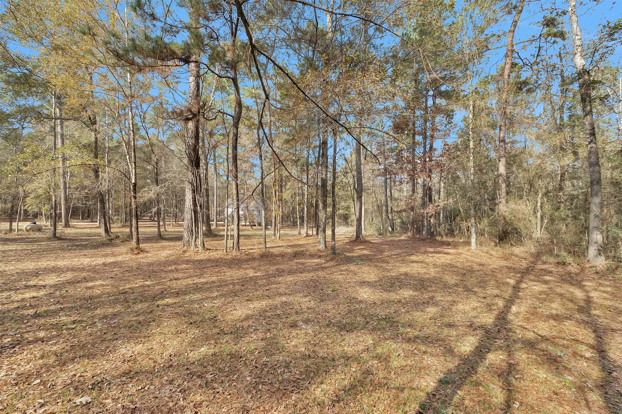 215 Fm 2929 Road Huntsville, TX 77340 - Photo 38 of 50