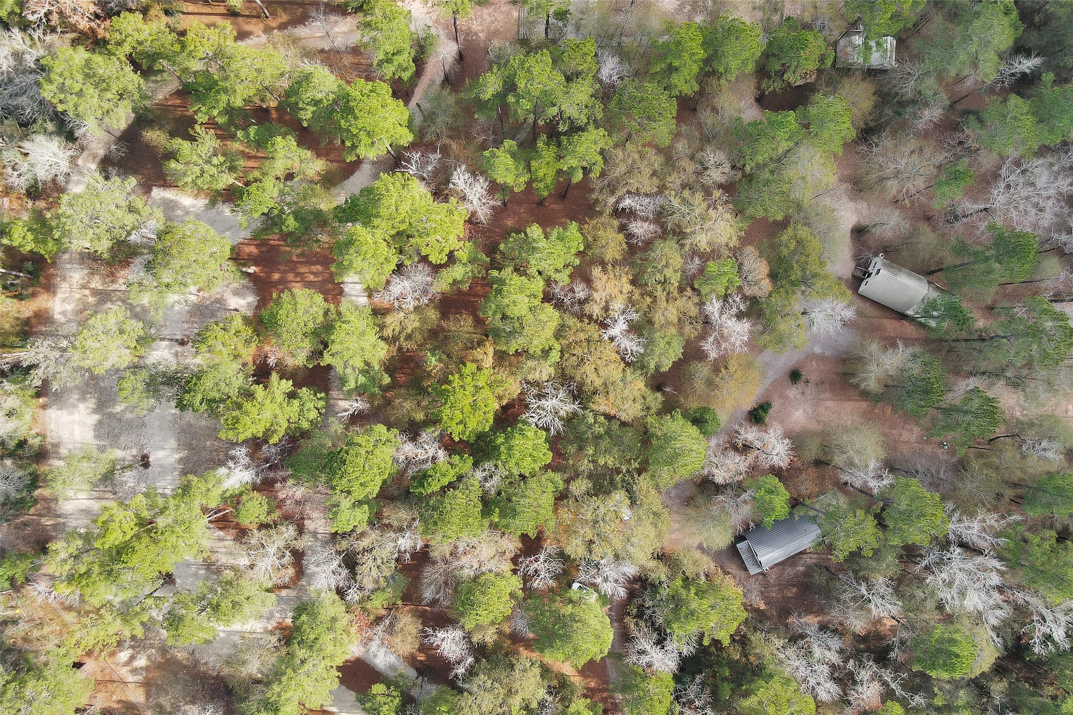 215 Fm 2929 Road Huntsville, TX 77340 - Photo 46 of 50