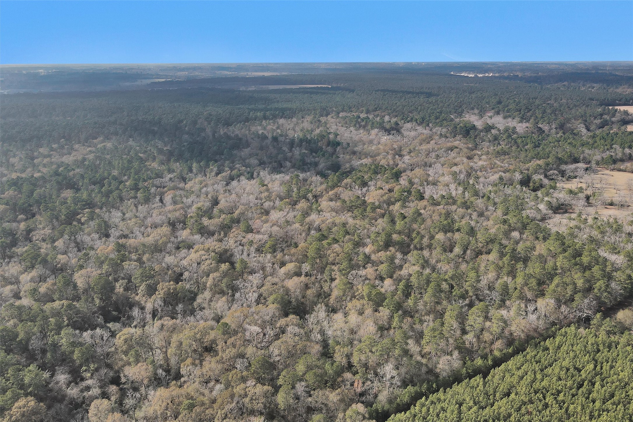 215 Fm 2929 Road Huntsville, TX 77340 - Photo 49 of 50