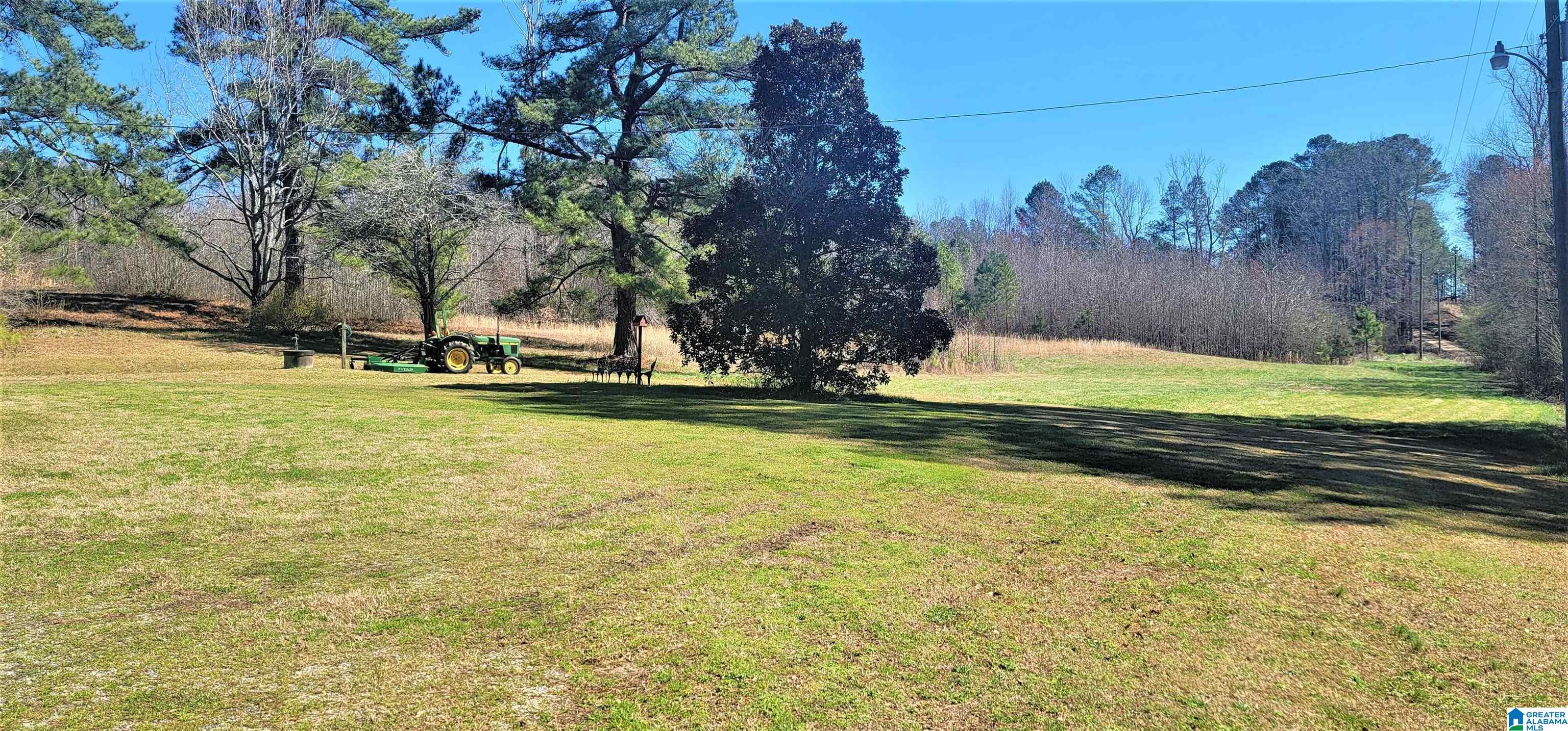 14511 Highway 46 Heflin, AL 36264 - Photo 11 of 36