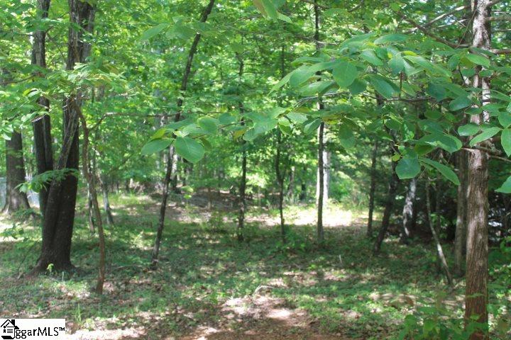 538 Upper Springs Road Pickens, SC 29671 - Photo 23 of 24