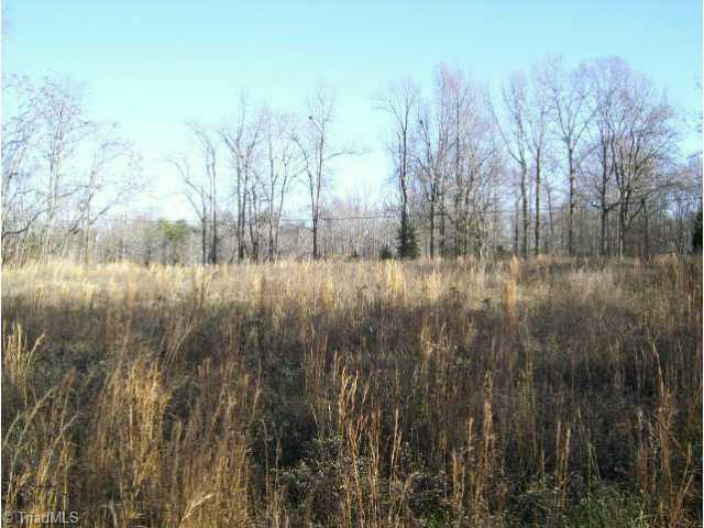 Lot 7 Haw Road Browns Summit, NC 27214 - Photo 4 of 5 Other.