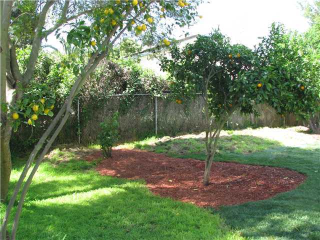 979 La Rue Avenue Fallbrook, CA 92028 - Photo 14 of 18