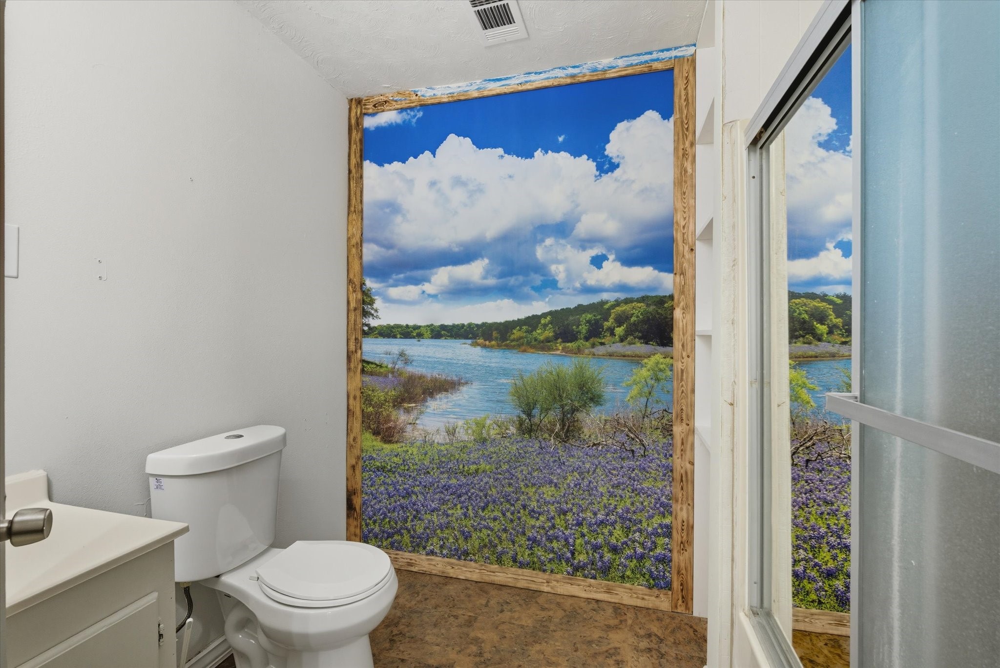 101 Merino Drive Huntsville, TX 77340 - Photo 30 of 42 Guest bathroom with custom mural