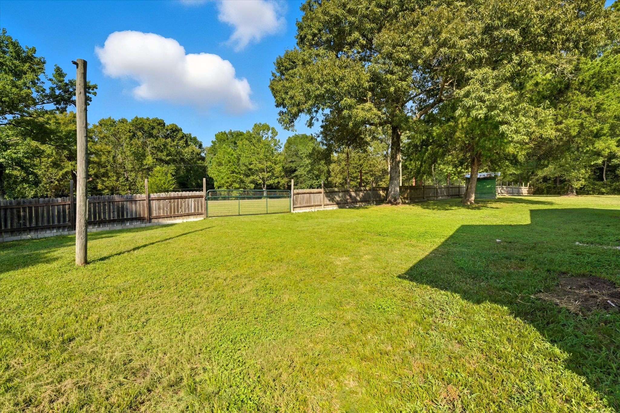 101 Merino Drive Huntsville, TX 77340 - Photo 33 of 42