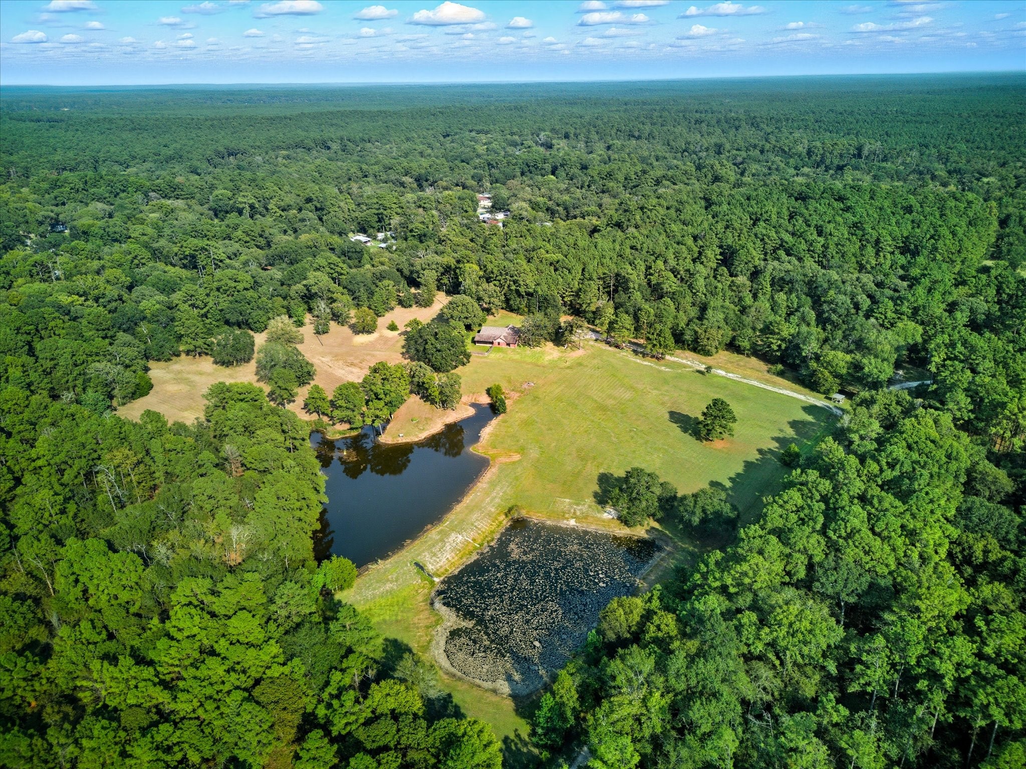 101 Merino Drive Huntsville, TX 77340 - Photo 36 of 42