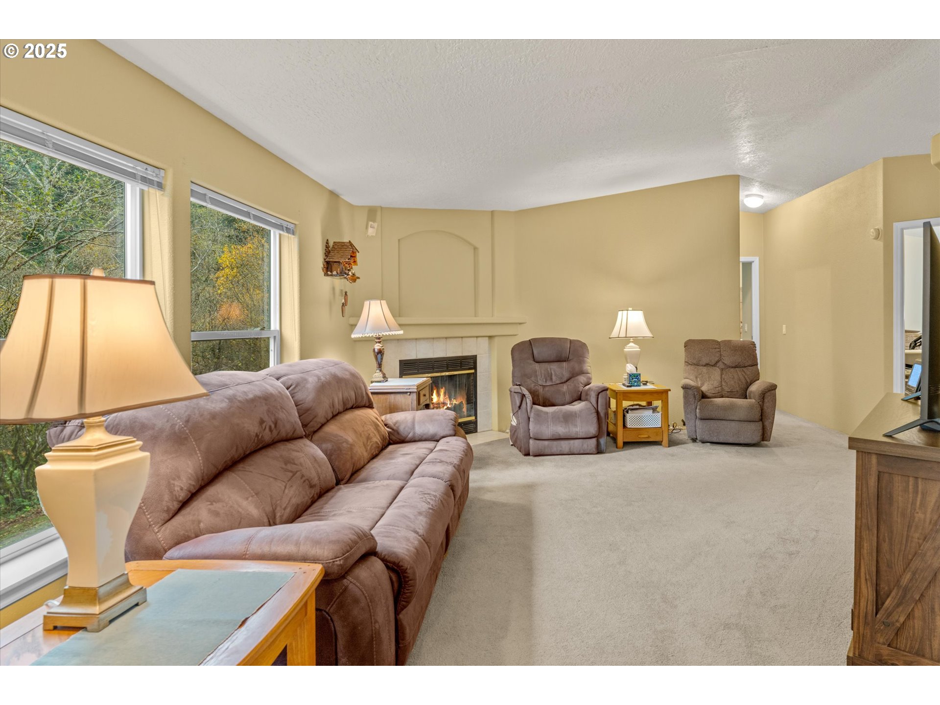 29010 Northeast 63rd Circle Camas, WA 98607 - Photo 11 of 30 a living room with furniture a fireplace and a large window