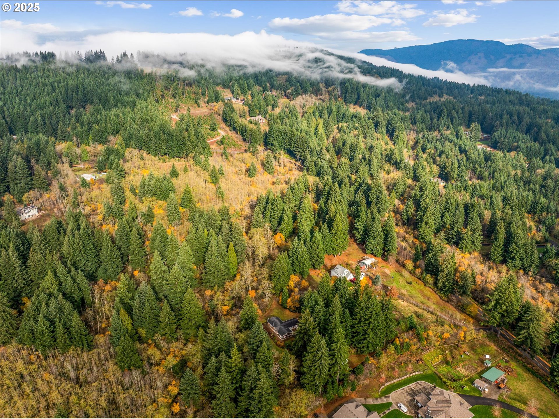 29010 Northeast 63rd Circle Camas, WA 98607 - Photo 29 of 30 a view of lake view and mountain view