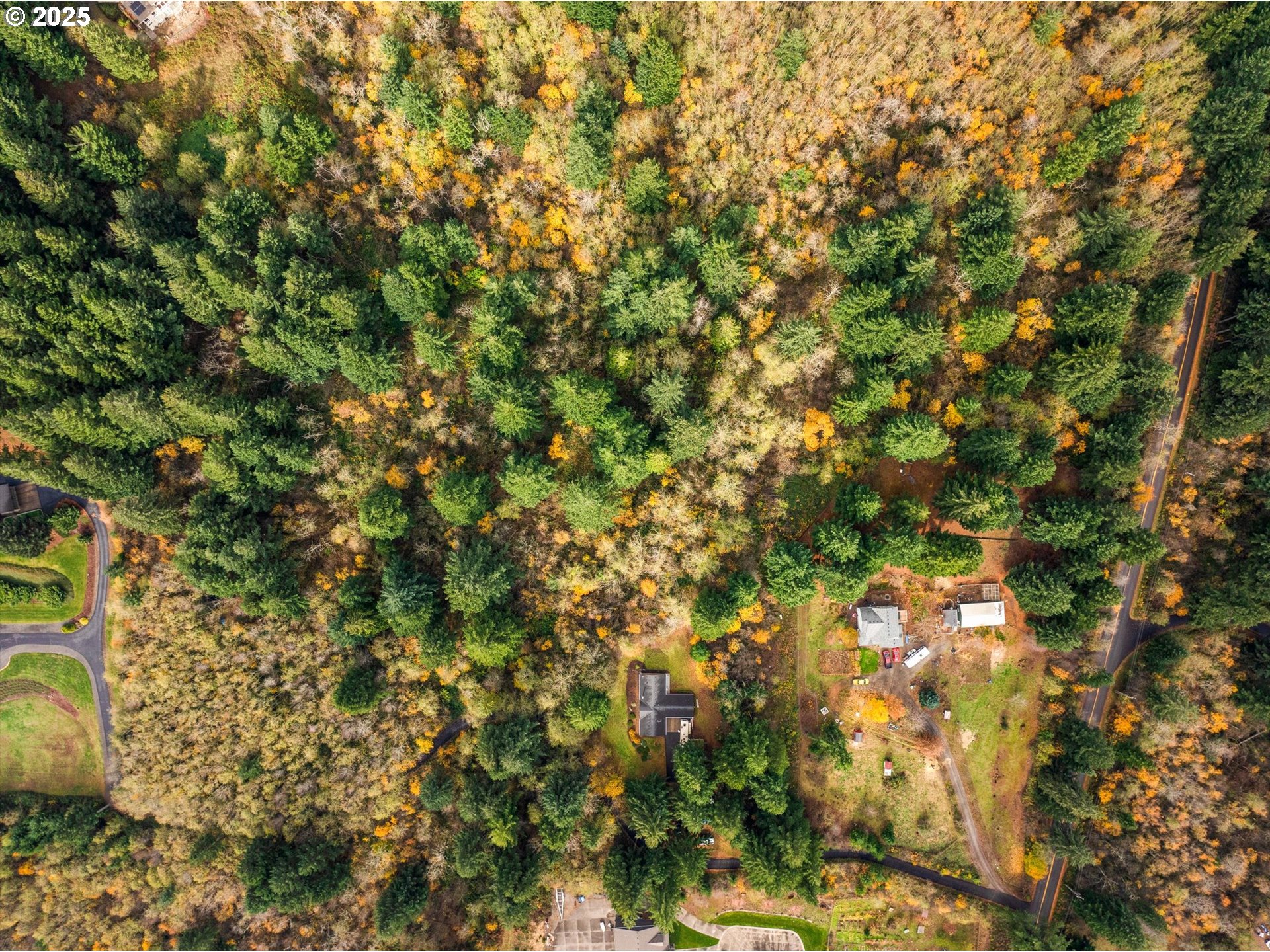 29010 Northeast 63rd Circle Camas, WA 98607 - Photo 30 of 30 a view of a tree