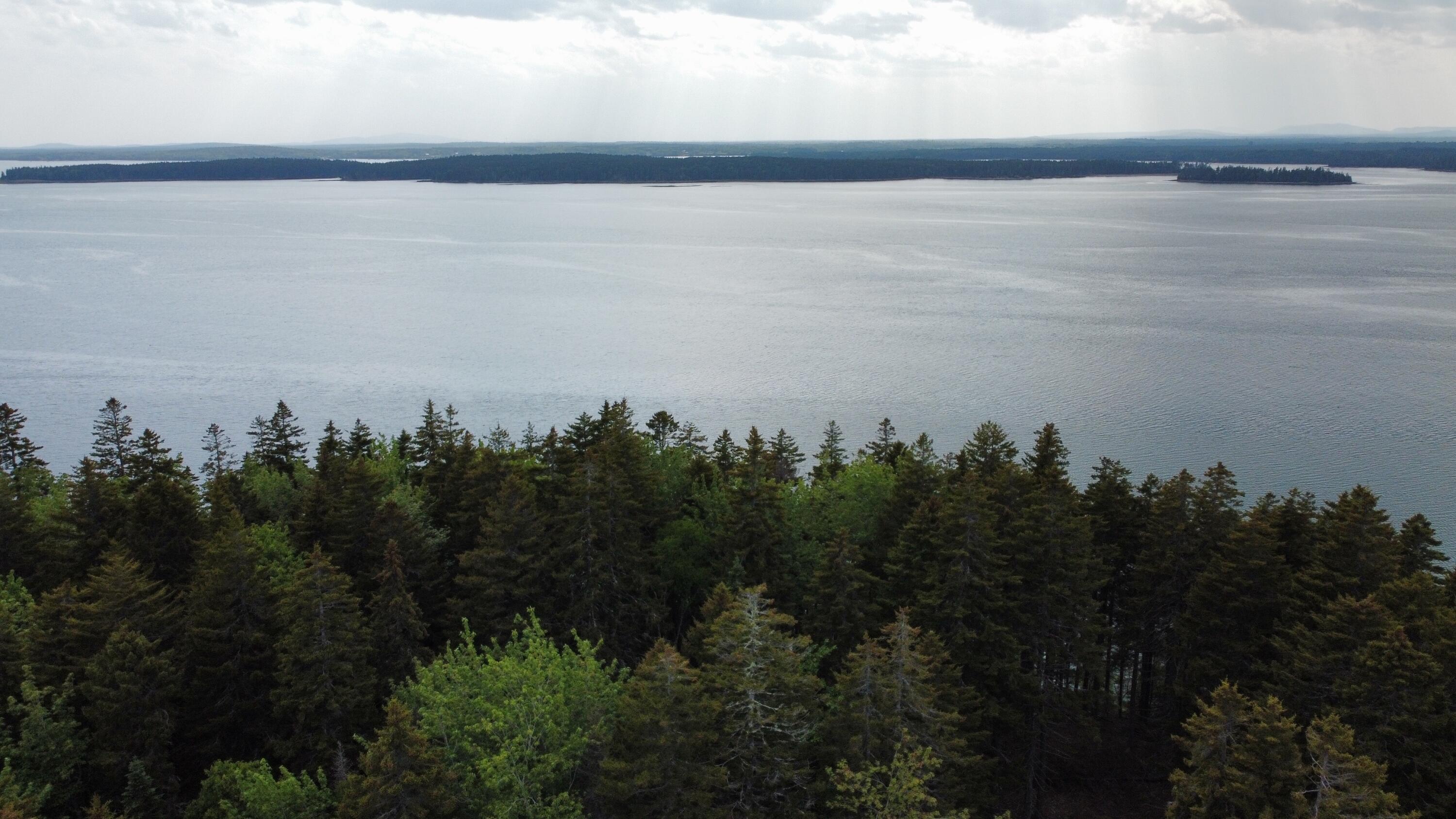 Lot 5 Ripley Neck Road Harrington, ME 04643 - Photo 11 of 39 dji_fly_20230611_161828_67_1686530712407