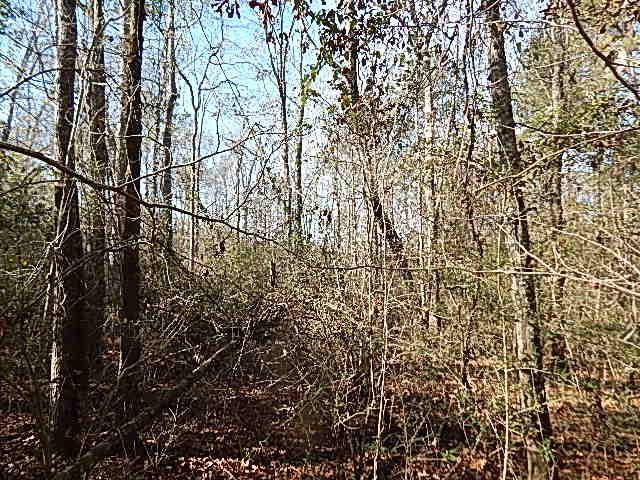 0 Joe Booth Road Taylorsville, MS 39168 - Photo 3 of 12 Photo 3