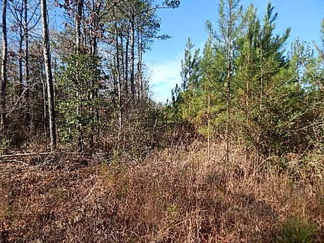 0 Joe Booth Road Taylorsville, MS 39168 - Photo 8 of 12 Photo 8