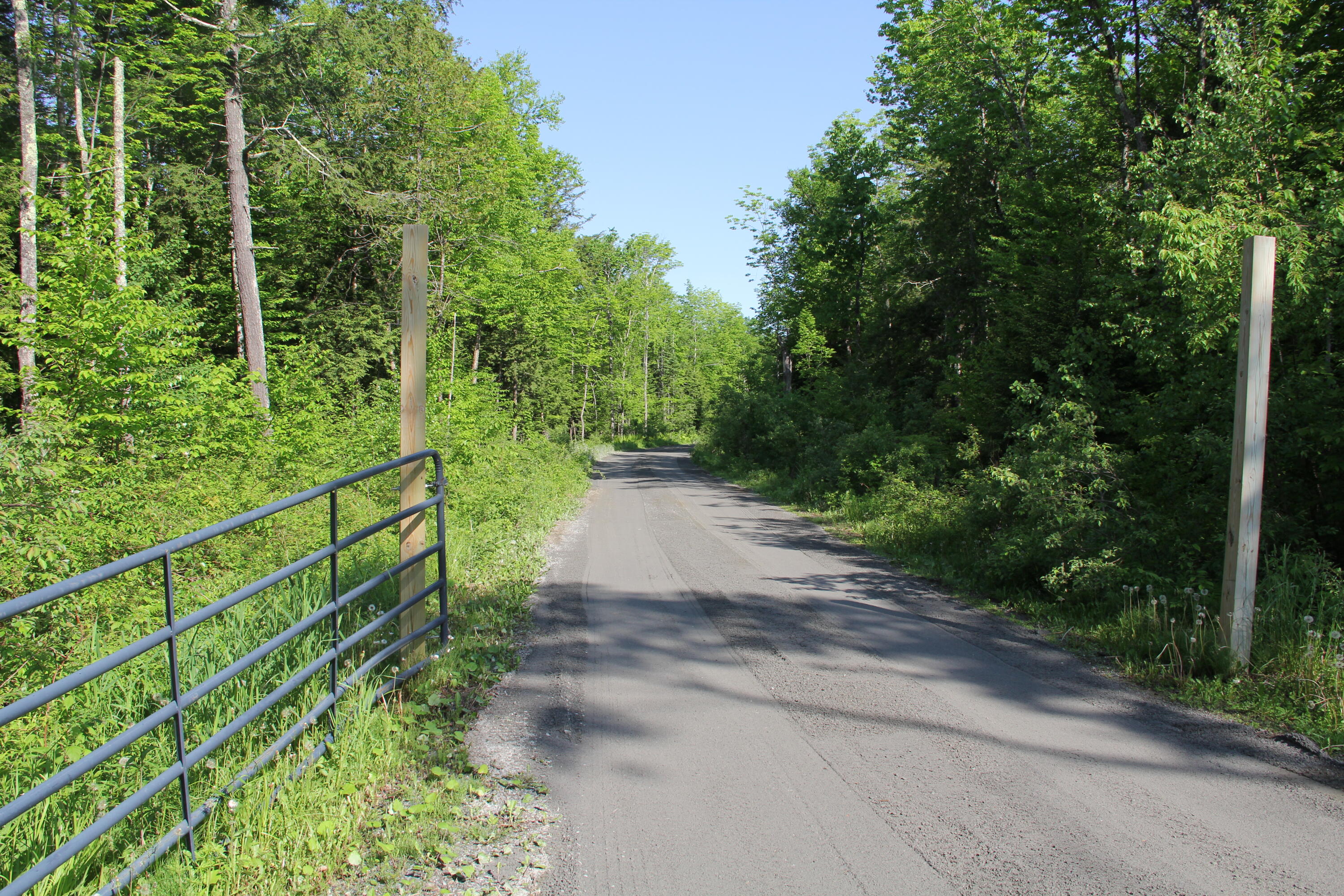 89 Fire Road 9 Madison, ME 04950 - Photo 4 of 37 IMG_9818