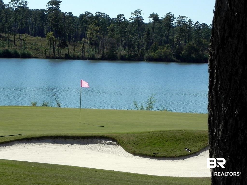 24504 Ponder Loop Loxley, AL 36551 - Photo 49 of 50 Golf at Steelwood