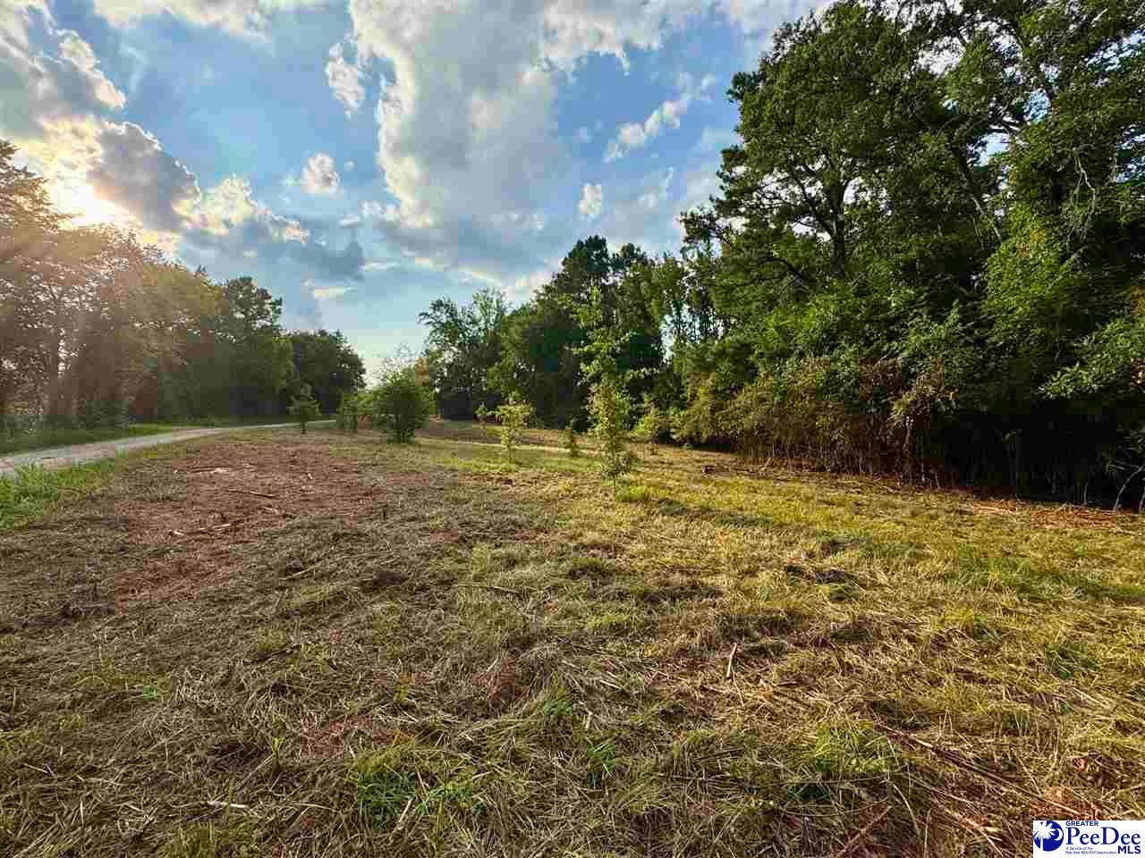 3.40 Freeman Loop Road Chesterfield, SC 29709 - Photo 7 of 9 Gallery Image 7