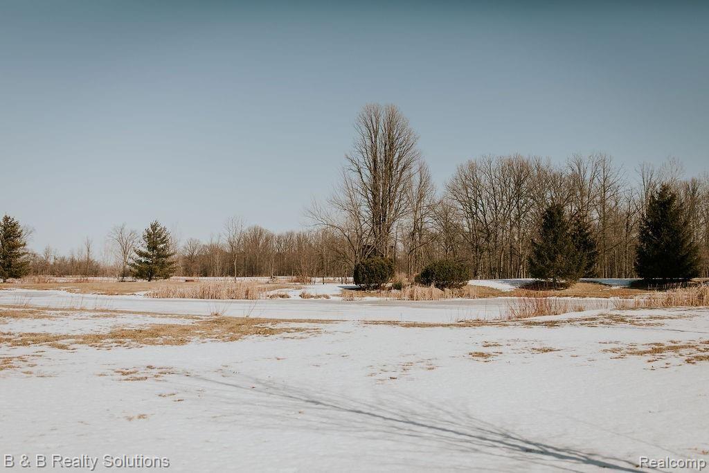 2457 Dodds Road North Branch, MI 48461 - Photo 10 of 71 6L2A8459.jpg