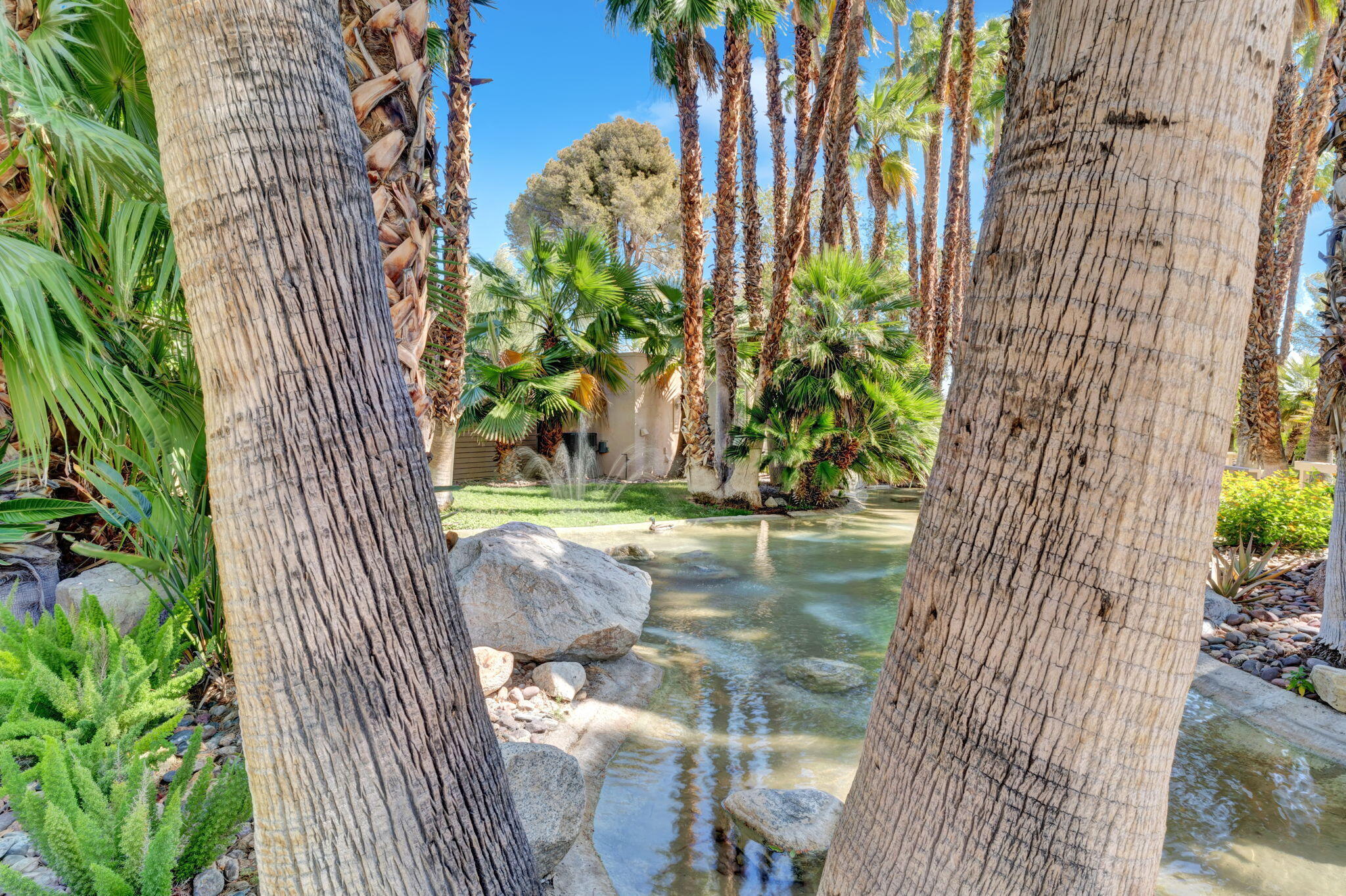 360 Cabrillo Road, Unit 103 Palm Springs, CA 92262 - Photo 46 of 50 45-web-or-mls-_DSC2035