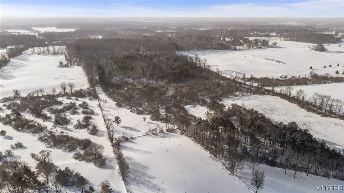 Shepard Road Batavia, NY 14020 - Photo 4 of 7