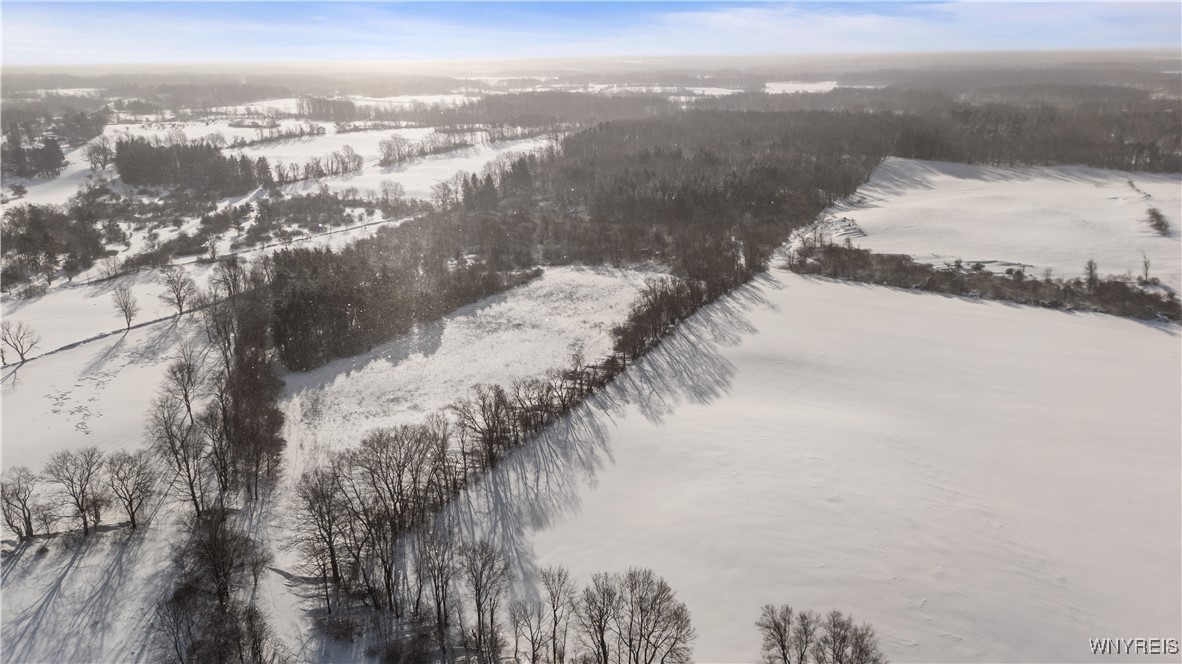 Shepard Road Batavia, NY 14020 - Photo 5 of 7