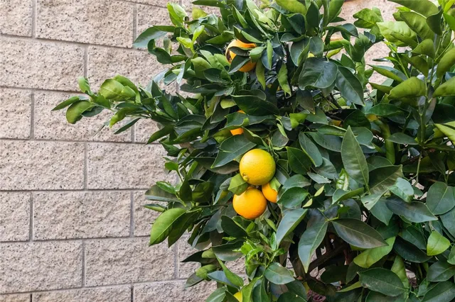 $1,599,900 | 30230 De Portola Road, Temecula, CA 92592