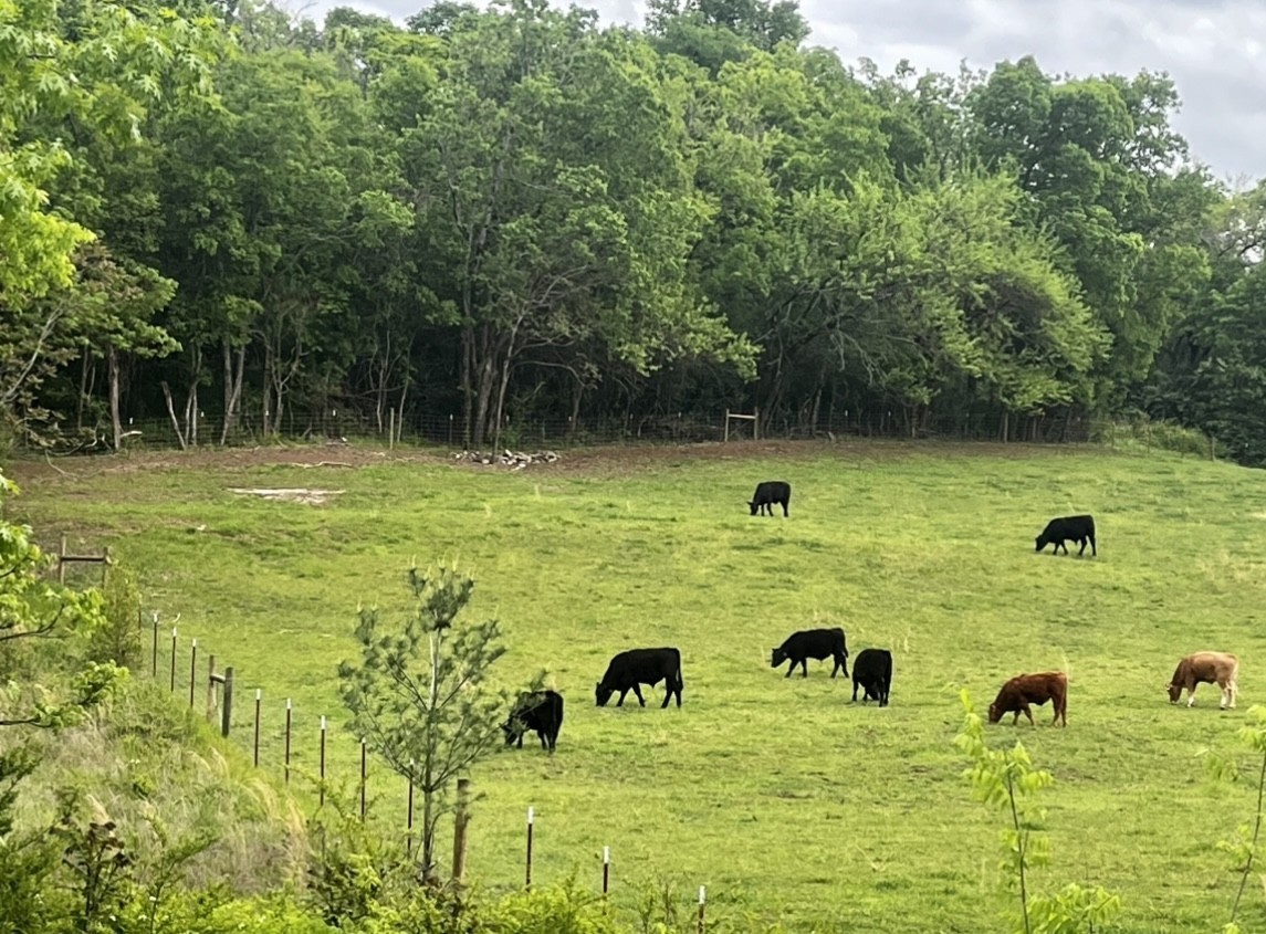 1801 Shadow Green Drive, Unit 306 Franklin, TN 37064 - Photo 35 of 39 a view of three pool with an outdoor space