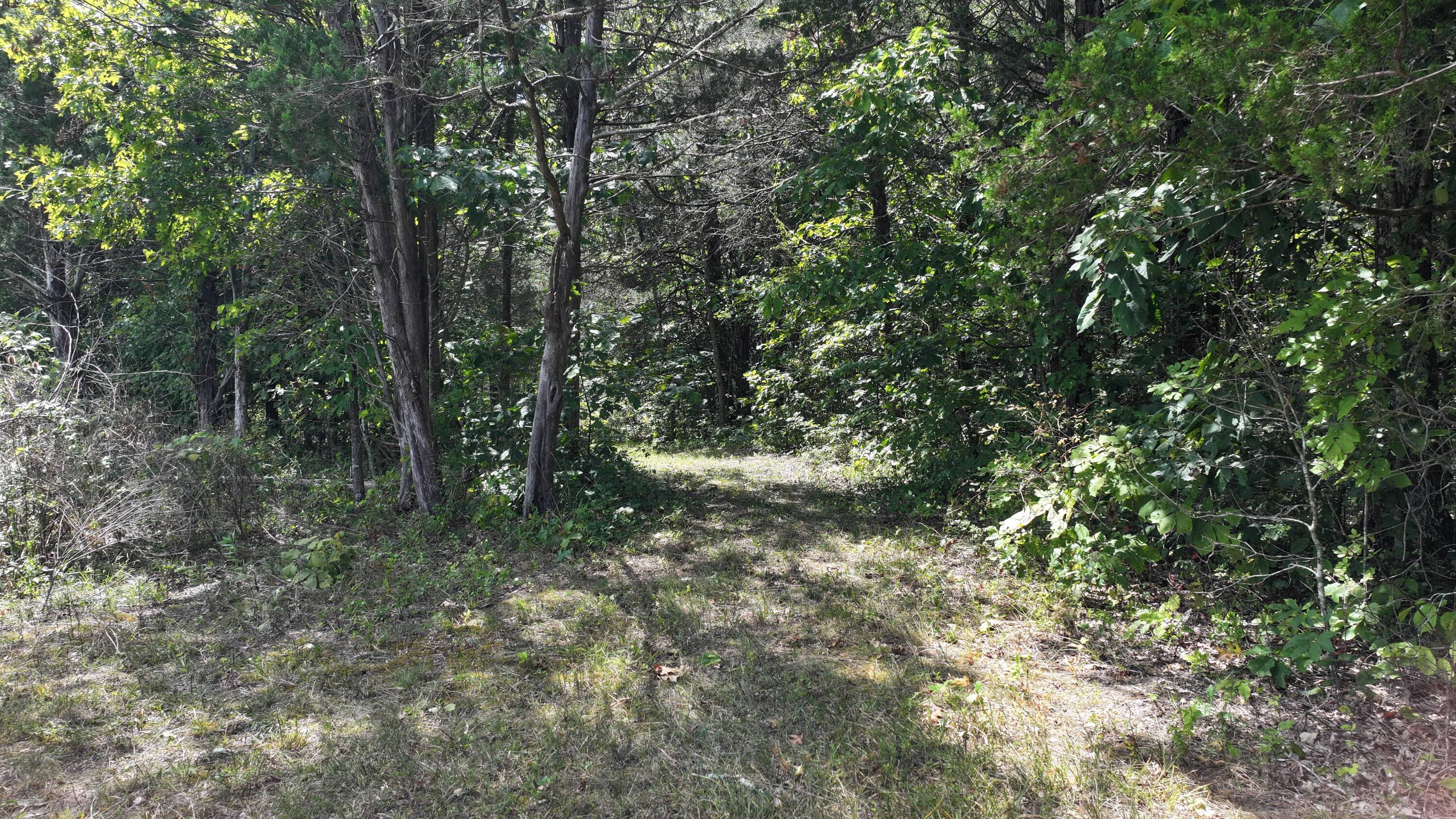 0 Caney Creek Road Owenton, KY 40359 - Photo 21 of 35