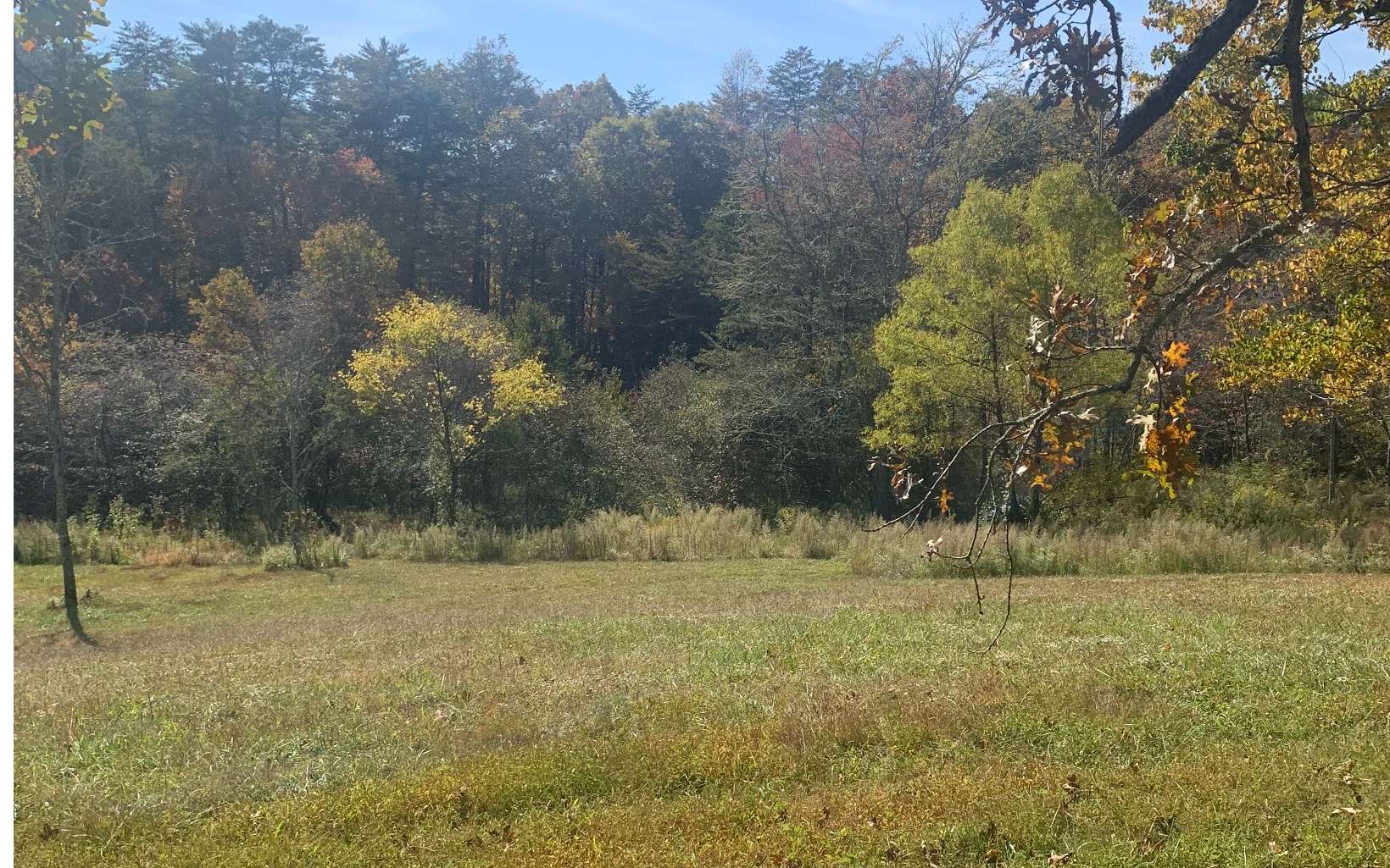 Lot18 Lot18 Bearden Farm Blue Ridge, GA 30513 - Photo 5 of 6 Additional View