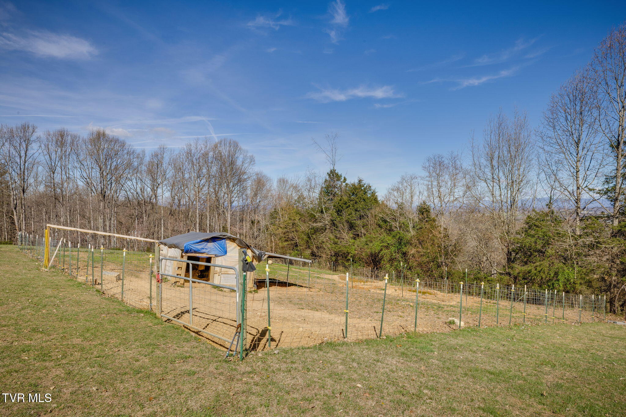 104 Newt Wheelock Road Jonesborough, TN 37659 - Photo 62 of 92 061