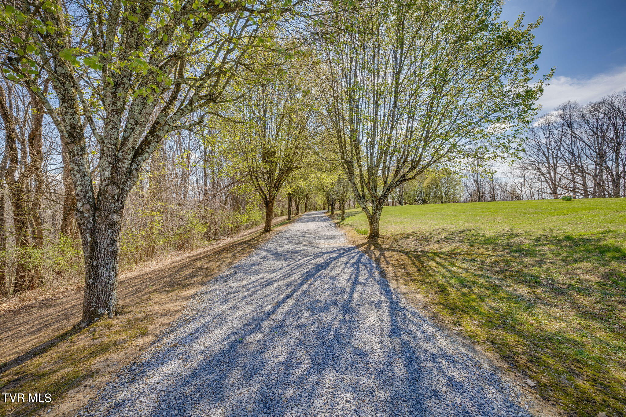 104 Newt Wheelock Road Jonesborough, TN 37659 - Photo 10 of 92 067