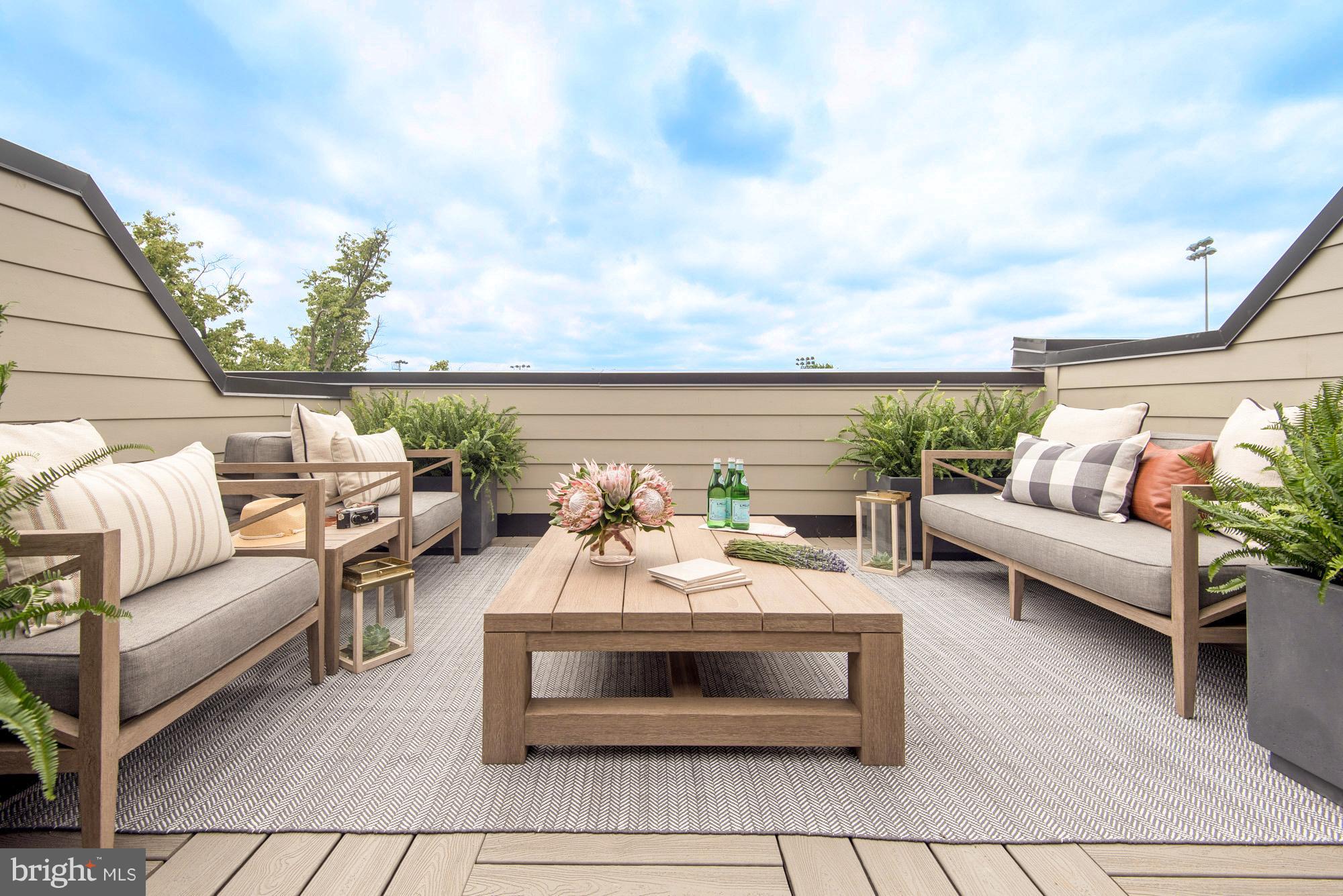 1307 D Street Southeast Washington, DC 20003 - Photo 24 of 27 private roof deck with water bib and gas line