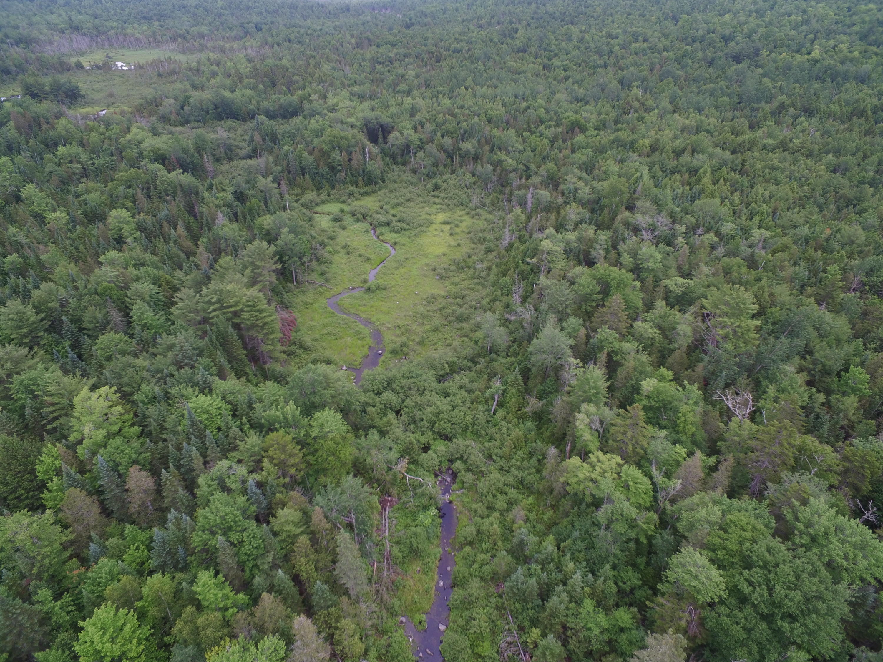 31 Cold Stream Estates Road Lincoln, ME 04457 - Photo 21 of 25 DJI_0134