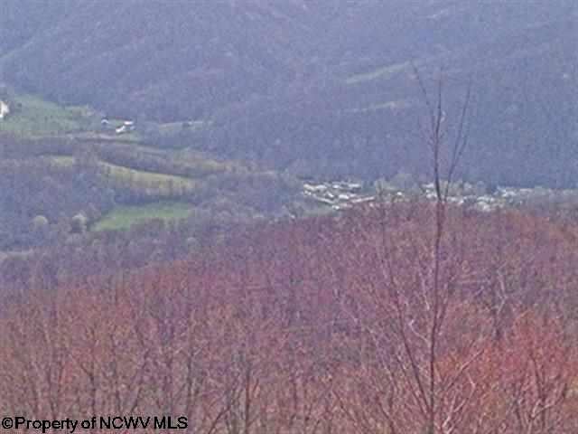 38 Meadows Road West Harman, WV 26270 - Photo 22 of 31 Gallery Image 22