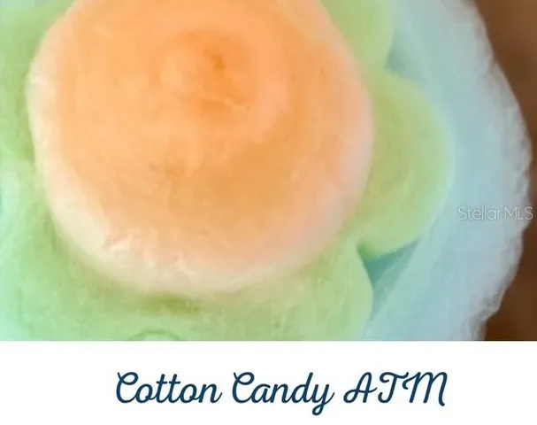 $380,000 | 2920 On The Rocks Point, Kissimmee, FL 34747