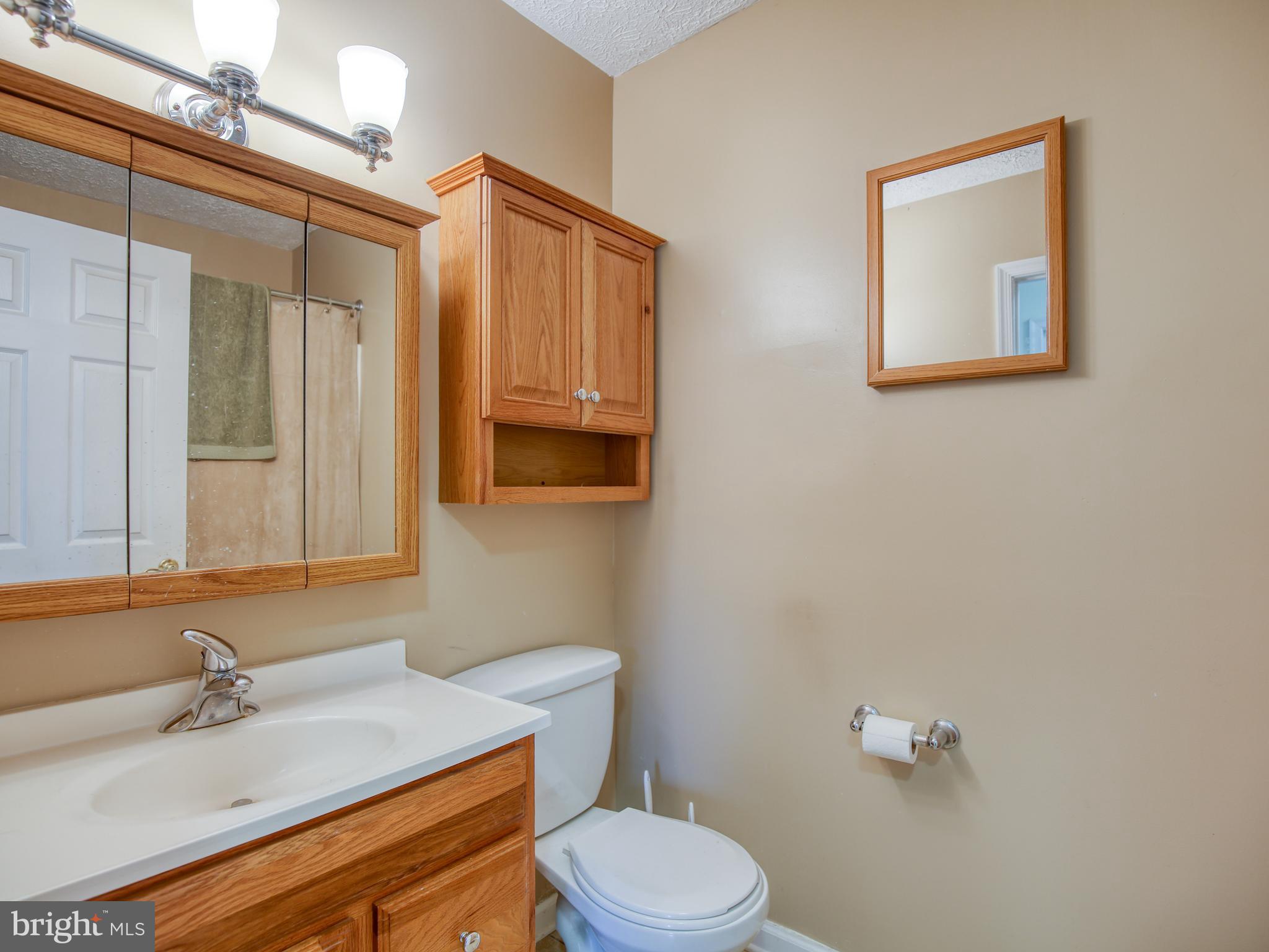 1029 Rest Church Road Clear Brook, VA 22624 - Photo 25 of 31 Full bath in hallway