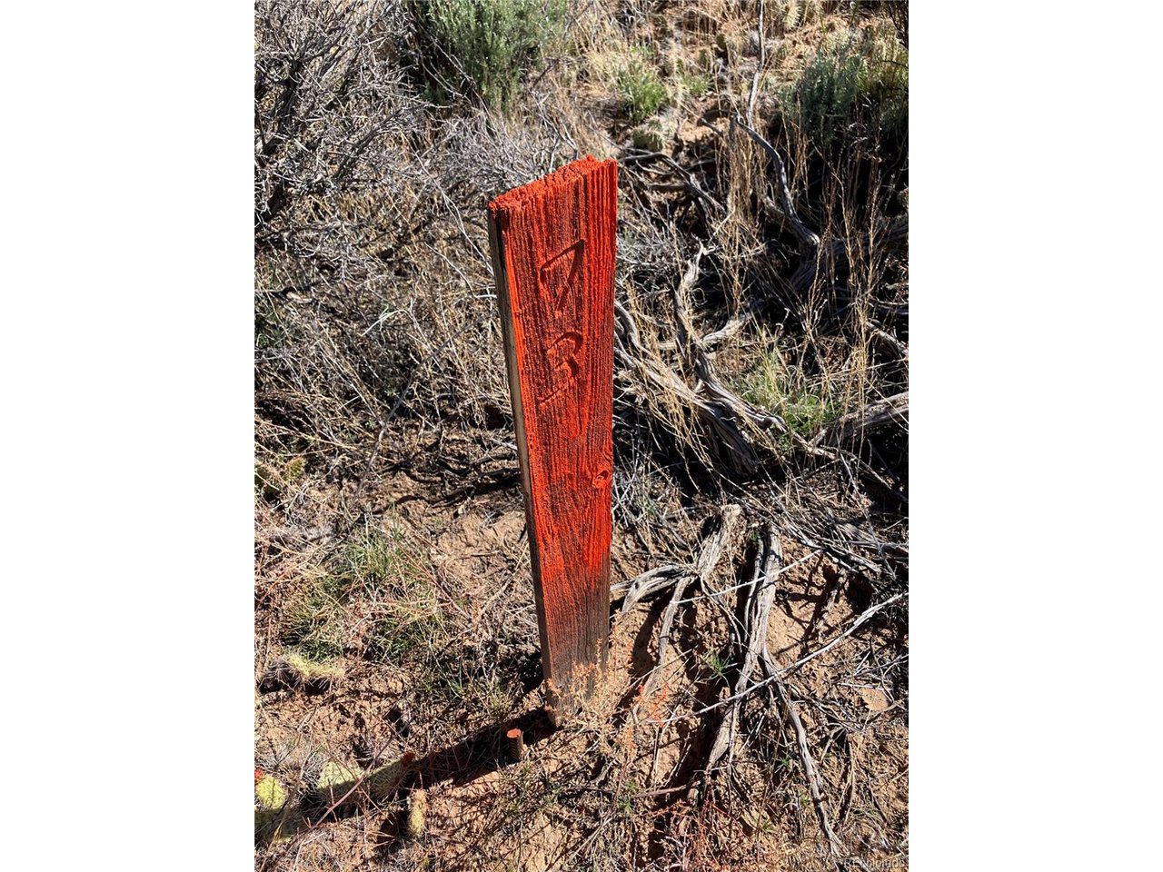 73 Old Stage Coach Road San Luis, CO 81152 - Photo 8 of 13