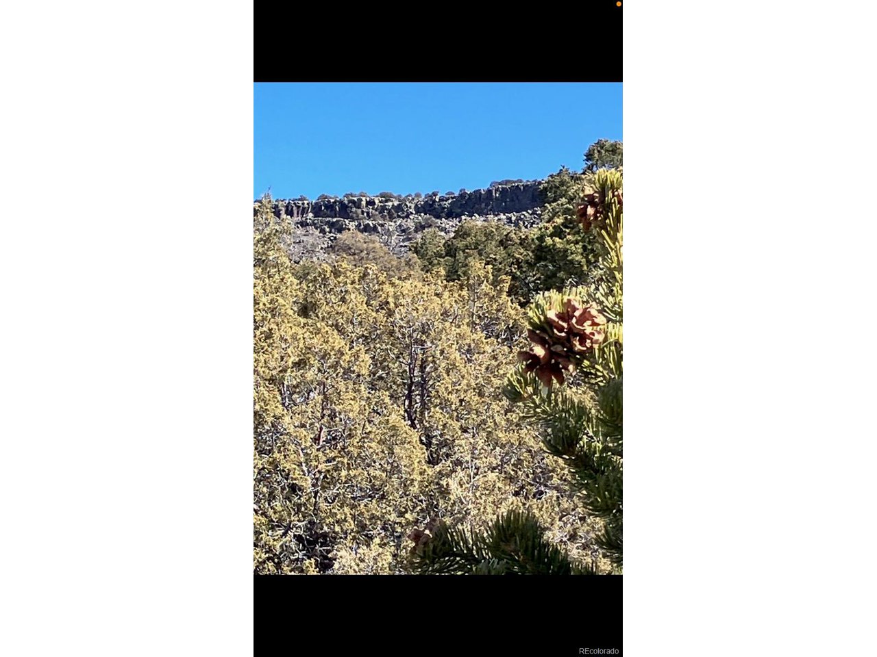 73 Old Stage Coach Road San Luis, CO 81152 - Photo 9 of 13 a picture of a person in a park