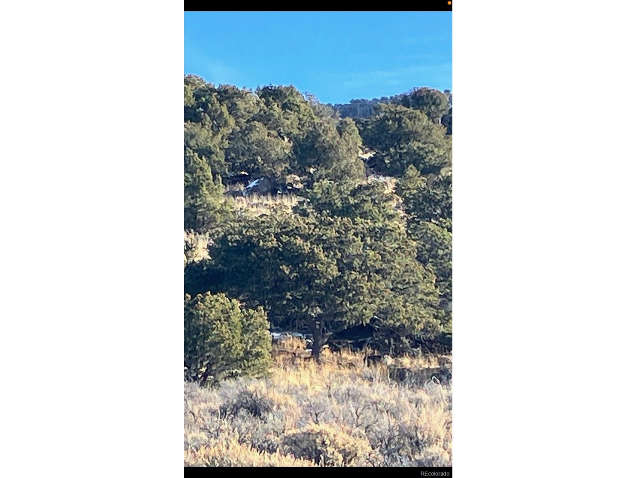 73 Old Stage Coach Road San Luis, CO 81152 - Photo 10 of 13 a view of a yard