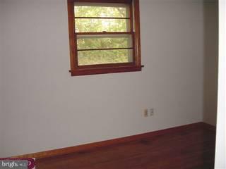 5310 West Hopewell Road Center Valley, PA 18034 - Photo 4 of 4 Gallery Image 4