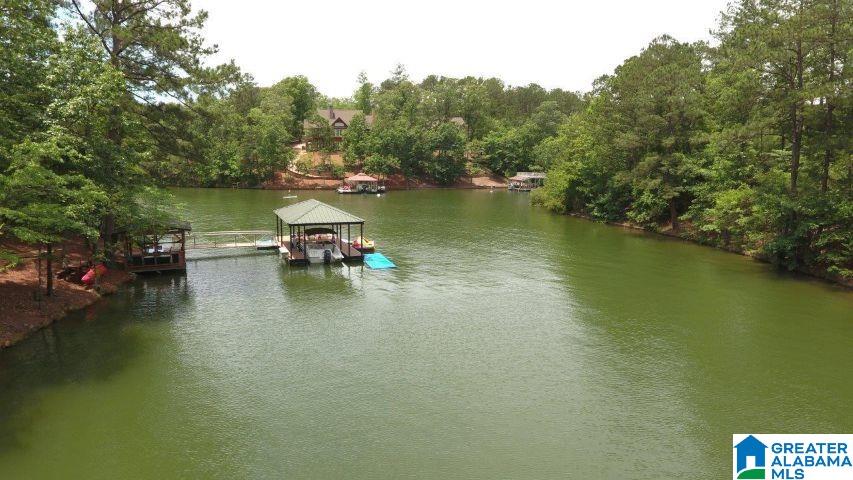 Bluebird Drive Wedowee, AL 36278 - Photo 2 of 6