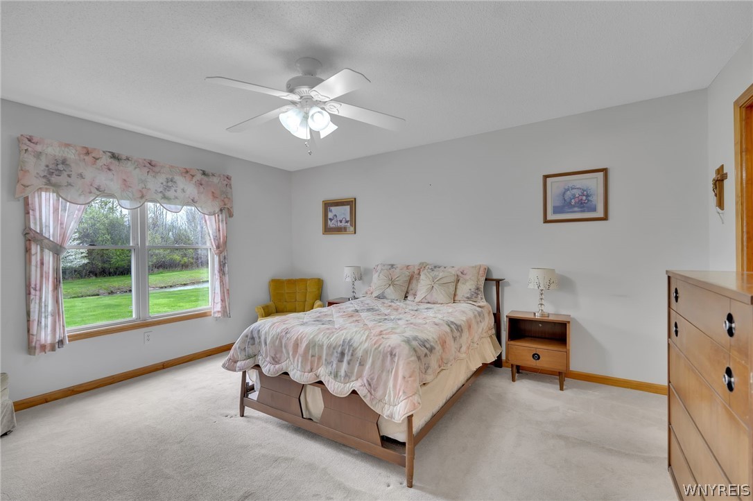 53 Alexander Parkway Pendleton, NY 14120 - Photo 20 of 30