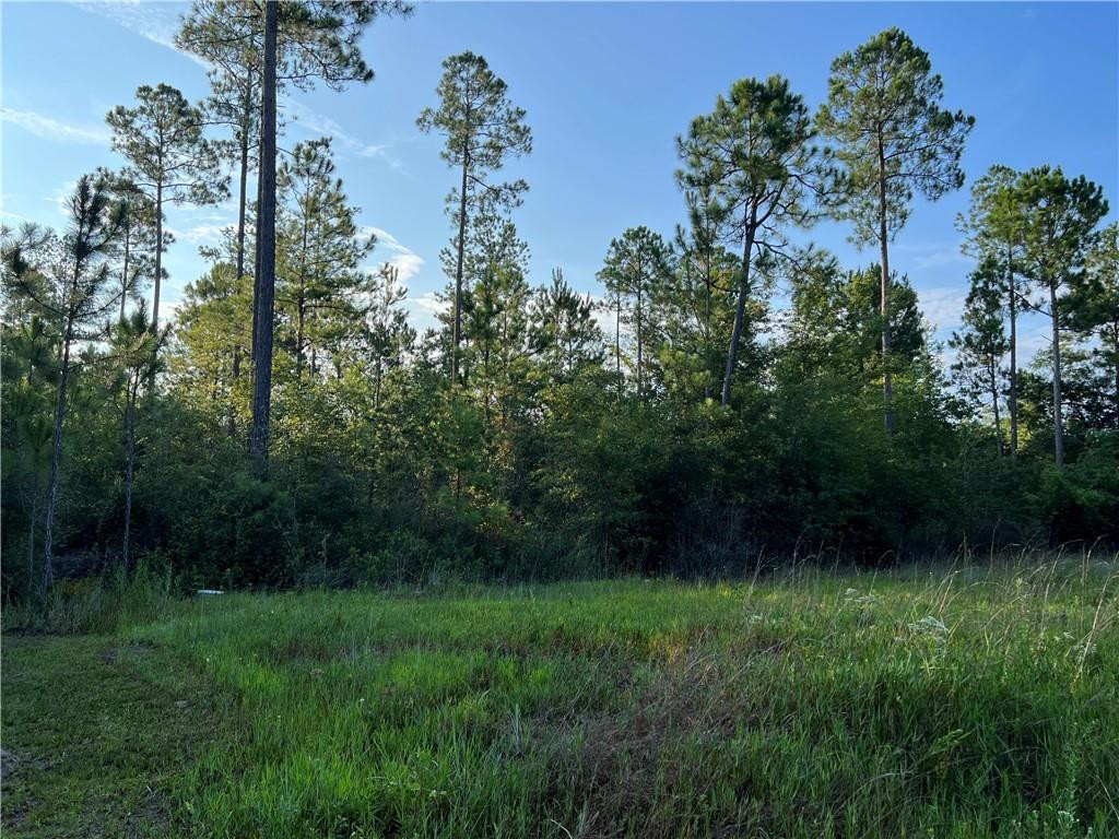 0 County Line Road Waycross, GA 31503 - Photo 1 of 1 Gallery Image 1