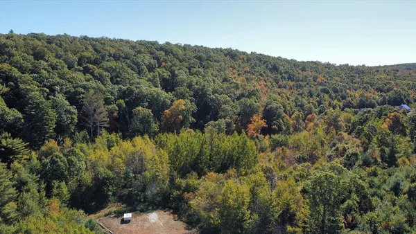 a view of a bunch of trees and bushes