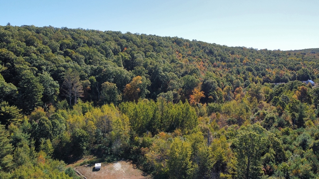 0 Bethany Road Monson, MA 01057 - Photo 1 of 5 a view of a bunch of trees and bushes