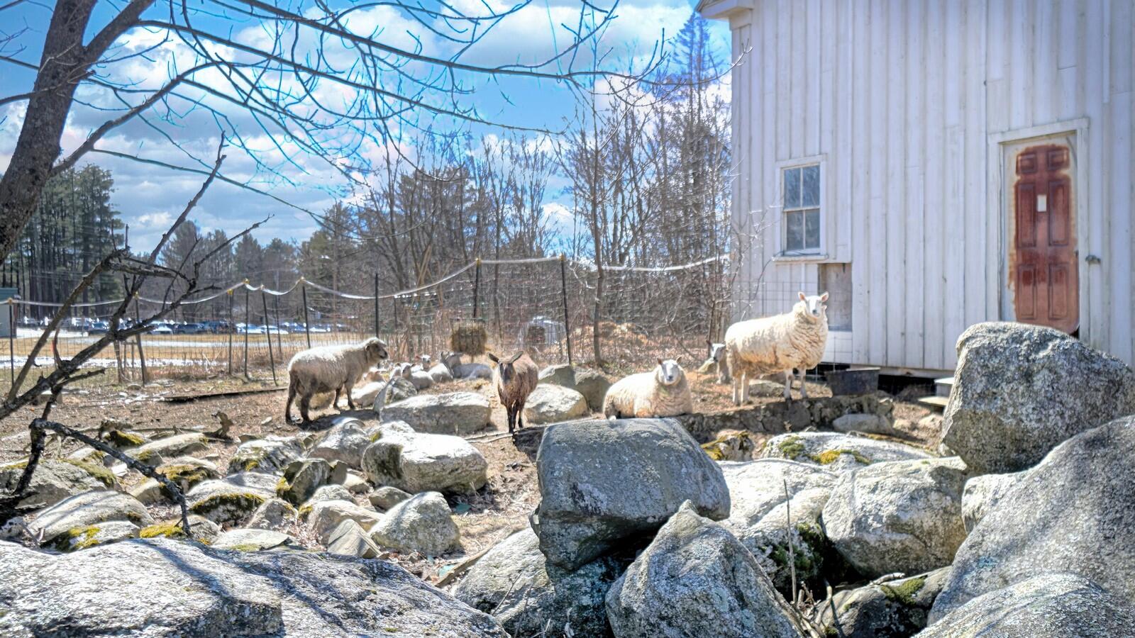 66 Intervale Road New Gloucester, ME 04260 - Photo 45 of 66 DSC07814