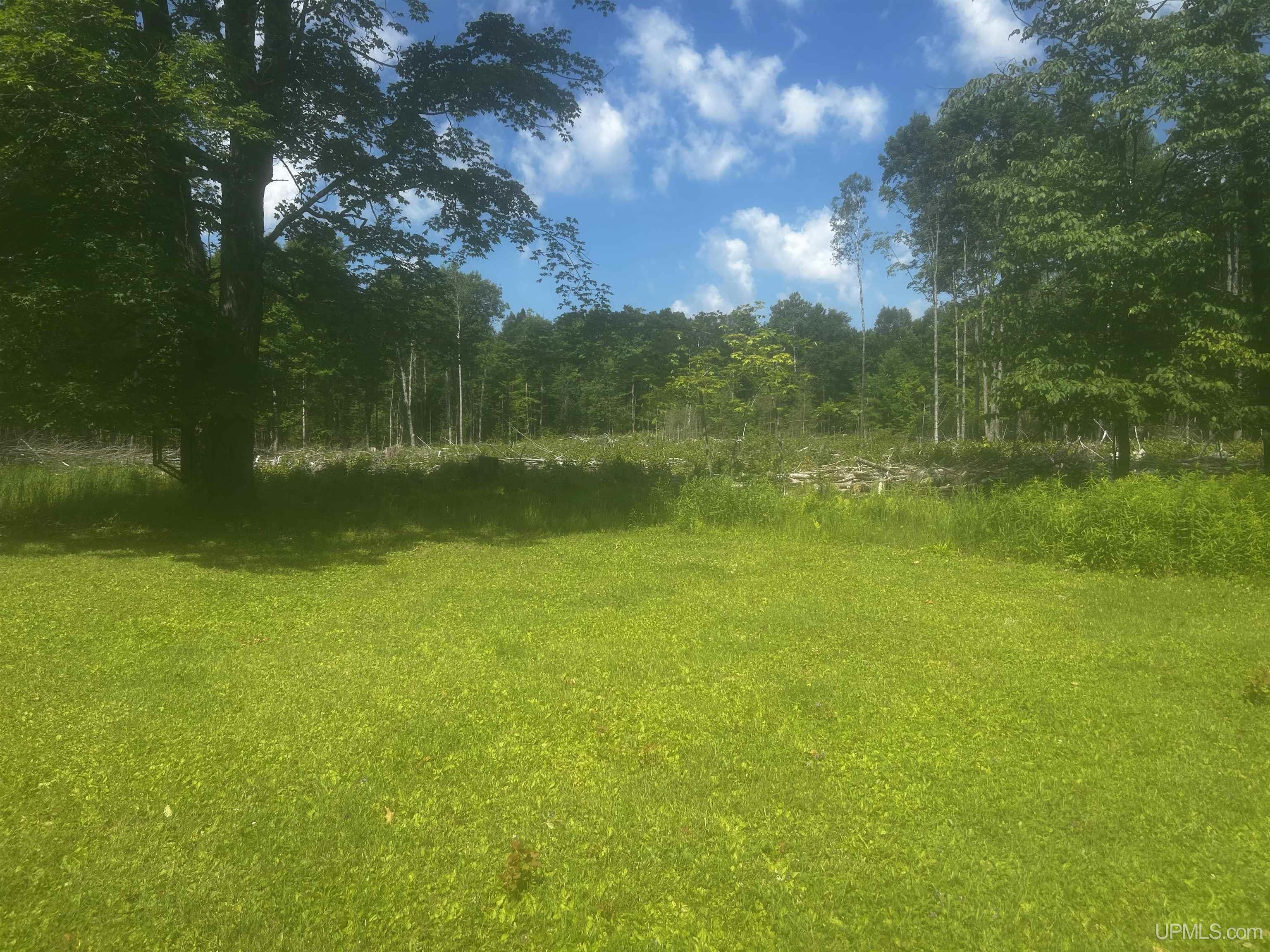 W8448 Leeman Road Sagola, MI 49881 - Photo 16 of 26 Gallery Image 16