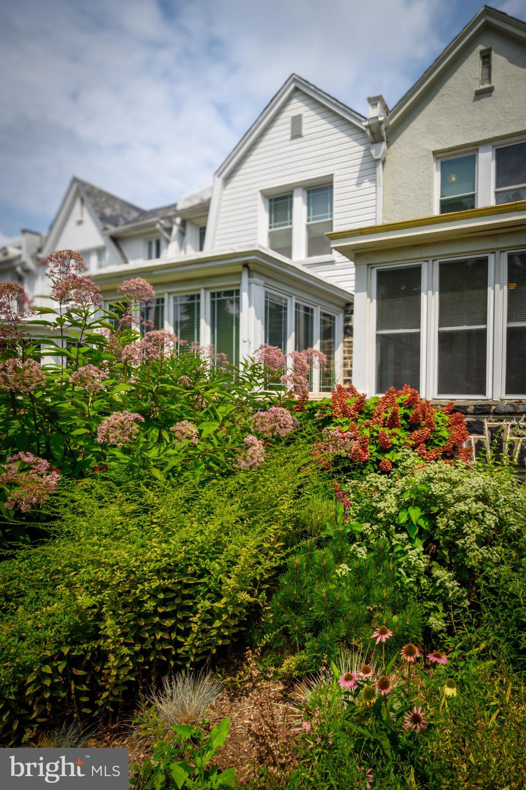 Front Yard (alt view)