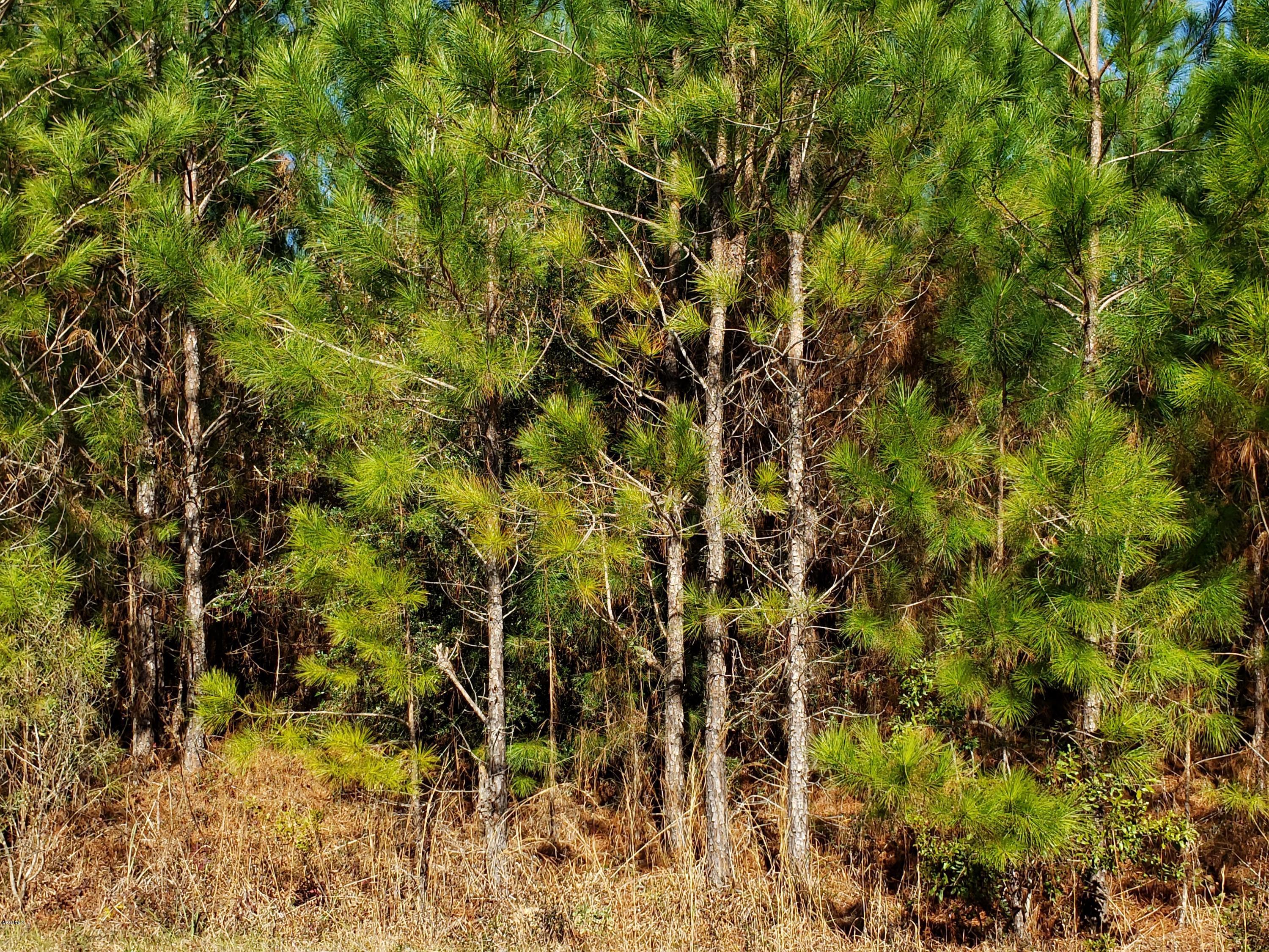 Clear Lake Road McHenry, MS 39561 - Photo 1 of 4 Lot 29