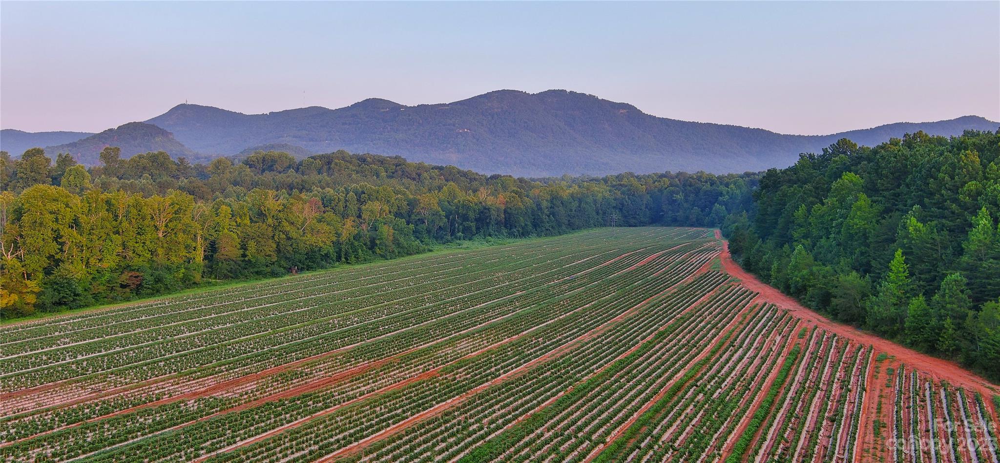 0 Fox Mountain Road, Unit 1 Columbus, NC 28722 - Photo 1 of 4 a view of a house with a yard